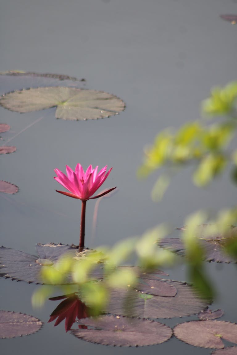 The Mental Load of Owning a Waxing Business